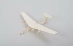 aero-naut 103002Airliner P&F Wurfgleiter