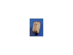 Krick 60891Doppelblöcke Nussbaum 10mm (10 Stück)