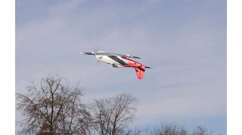 Multiplex 1-01771RR RaceWulf Rennflugzeug 950mm