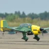 Phoenix Model PH149STUKA Ju87 - 191 cm