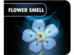 Revell 00630'Blossom Festival' Holzblumen Bausatz