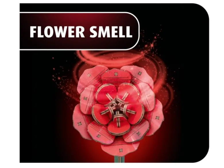 Revell 00631'Dream of Roses' Holzblumen Bausatz