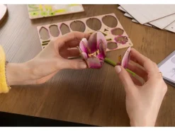 Revell 00632'Flower Garden' Holzblumen Bausatz