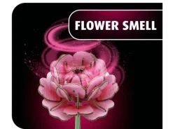 Revell 00632'Flower Garden' Holzblumen Bausatz